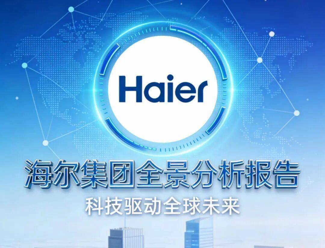 25总结报告！海尔集团20(图2)